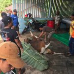 menjatuhkan dengan perjuangan